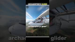 Archaeopteryx Glider 🛩️ fact amazing inventions science short feeds fyp Youtube glideromg [upl. by Fogg590]