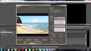 How to Import Video from a Camera in Premiere Pro [upl. by Aihceyt]