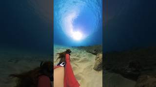 Let’s swim thru a school of fish freediving freediver underwater oceansounds asmrvideo asmr [upl. by Curley]