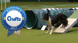 Agility Championship Final  Crufts 2017 [upl. by Htenywg]