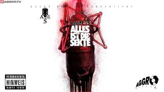 ROYAL TS SIDO amp BTIGHT OPFERMX NR 2  ALLES IST DIE SEKTE  ALBUM  TRACK 05 [upl. by Miuqaoj661]