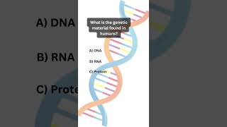 What carries amino acids to ribosomes during protein synthesis Ans tRNA [upl. by Endys]