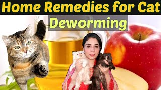 What home remedy can I use to deworm my cat Best Remedies For Cat Deworming  DrHira Saeed [upl. by Lalitta]