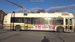 Trackless Trolleys Trolleybuses in Boston MA [upl. by Gratt]