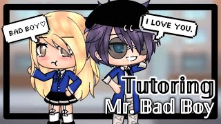 ♡ Tutoring Mr Bad Boy ♡ GLMM  Gacha Life Mini Movie  Rabbit Adventures [upl. by Ellehsim]