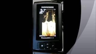 Humminbird Piranhamax 4 vs Garmin Striker 4  Which is Most Popular [upl. by Arymas]