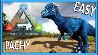 How To Tame A Pachy In Ark Survival Evolved [upl. by Plumbo818]