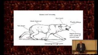 Stanley Coren  Animal Communication How to Speak Dog [upl. by Artap]