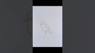 Practice how to draw a minimalist sparrow bird with one line [upl. by Aldis]