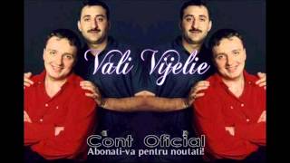 COSTI IONITA amp VALI VIJELIE amp ADRIAN MINUNE  PLECAT DEPARTE OFFICIAL TRACK [upl. by Tyler793]