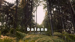 balans • session in the woods [upl. by Joshua]