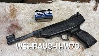 Mail call Weihrauch HW70 unboxing and first shots Restoration project [upl. by Annoiek]