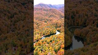 Золотая осень в Армении armenia dilijan yerevan осень autumn khachiktour [upl. by Shina256]