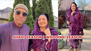 SHADI SEASON  WEDDING SEASON [upl. by Nylessoj]