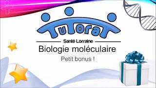 Linstant Piou  Biologie moléculaire [upl. by Lail]