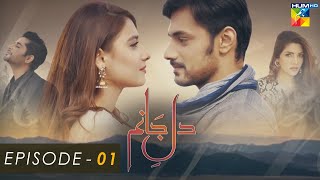 Dil E Jaanam  Episode 01  Zahid Ahmed l Hina Altaf l Imran Ashraf  HUM TV Drama [upl. by Heintz]