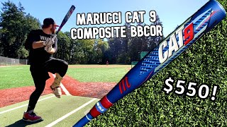 Hitting with the MARUCCI CAT 9 COMPOSITE BBCOR  2022 Baseball Bat Review [upl. by Adnohryt]