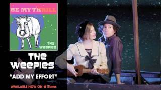 The Weepies  Add My Effort Audio [upl. by Alburg346]