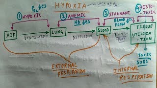 Hypoxia  Hypoxic Anemic Stagnant Histotoxic Hypoxia  Amazing Concept  TCML [upl. by Joost117]