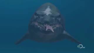 TRex of the Deep  Mosasaur Documentary [upl. by Karr619]