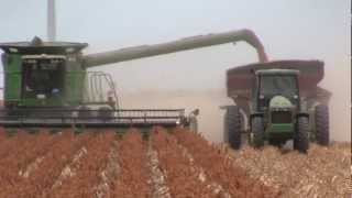 2012 South Texas Grain Sorghum Harvest [upl. by Whitman]