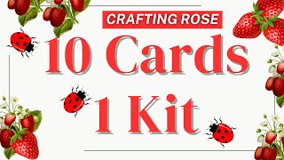 10 Cards 1 Kit featuring Echo Park Cardmaker Kit  Little Ladybug [upl. by Thant973]