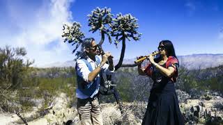 Cherokee Morning Song  Wolfsheart amp IsaBella  Native American Flute Duet [upl. by Nipahc]