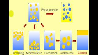 Lec 11 EMULSIONS Physical Stability شرح بالعربي [upl. by Noirda907]