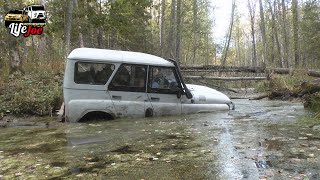 Добрались до бобровой запрудыФорсируем бродoff road экспедиция на УАЗ Хантер и УАЗ ПатриотЧасть 2 [upl. by Eugenides618]