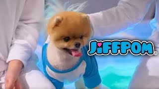 Jiffpom on Disneys Bizaardvark Commercial [upl. by Secunda]