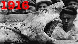 Americas First Shark Attacks Jersey Shore 1916 [upl. by Richlad221]