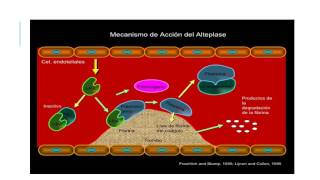 Anticoagulantes y Trombolíticos mecanismo de acción [upl. by Suilenrac]