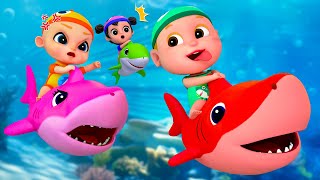 Baby Shark Dance Compilation  Kids Songs and Nursery Rhymes  Baby SumoCoco [upl. by Eittah]