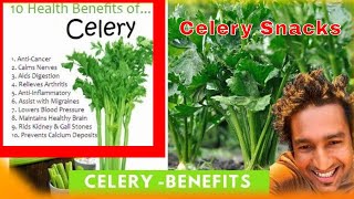 Celery Snack  Shorts  Celery Benefits  Malayalam Healthy Vlog [upl. by Eloisa]