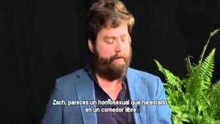 Between Two Ferns with Zach Galifianakis Steve Carell Sub Español [upl. by Mahla343]