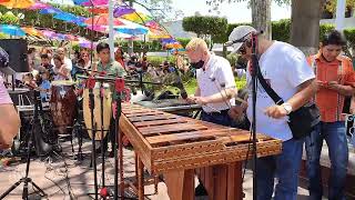 PALILLOS CHINOS MARIMBA BERRIOZÁBAL [upl. by Leirum]