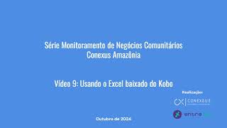 Monitoramento de Negócios Comunitários  Vídeo 9 Usando o Excel baixado do Kobo [upl. by Buckley862]