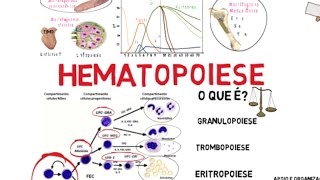 Coagulação do Sangue Fisiologia Explicada de Forma Simples Com Dra Carolina Perrone [upl. by Sucramat]