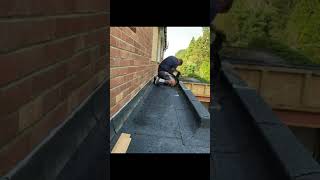 Installing felt upstands ready for skylight from brandonroofingltd 🔥 [upl. by Aelahs]