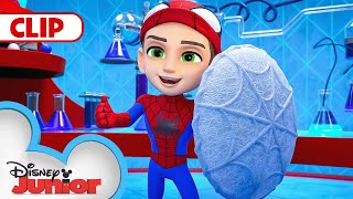 Spin Saves the Day  Marvels Spidey and his Amazing Friends  disneyjr [upl. by Ilona]