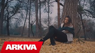 Verim Zendeli  Ti Ike Official Video HD [upl. by Marmawke]