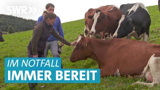 Tierarzt Doku – Geburtshilfe bei der Kuh und Kastration bei den Ziegen [upl. by Amiarom]