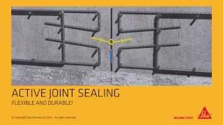 Sika® Waterbar  waterstops for joint sealing English version [upl. by Huff905]