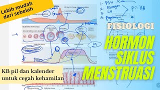 Fisiologi Hormon Siklus Mensturasi  FSH Estrogen LH Progesteron [upl. by Best]