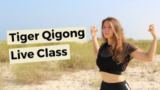 Tiger Qigong Live Class [upl. by Louisette]