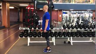 Standing Dumbbell Calf Raise [upl. by Notxarb464]