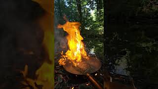 The Ultimate Rump Steak Sandwich Cooked in the Forest  Gourmet Bushcraft Recipe [upl. by Nesila]