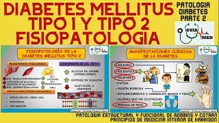 FISIOPATOLOGÍA DE LA DIABETES MELLITUS TIPO 1 Y TIPO 2  GuiaMed [upl. by Osmen715]