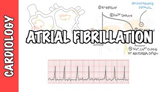 Atrial Fibrillation Overview  ECG types pathophysiology treatment complications [upl. by Akinimod]