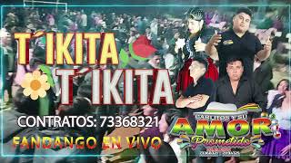 TIKITA TIKITA FANDANGO GRUPO AMOR PROMETIDO EN VIVO PALMERAS 2 VILLA CELINA [upl. by Lahpos811]